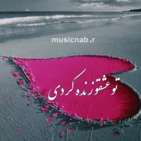 زیبای دلم بی تابت شدم | آهنگ زیبای راغب | کلیپ زیبا | آهنگ عاشقانه