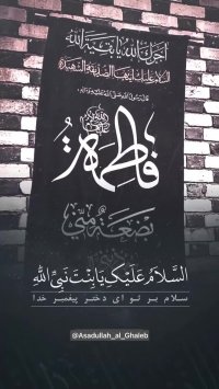 اسلام علیک یا فاطمه الزهرا | کلیپ فاطمیه | کلیپ زیبا |حضرت فاطمه