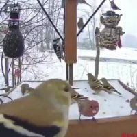 می پرستم تو را می پرستم | آهنگ عاشقانه زیبا | ترانه زیبا |  حجت اشرف زاده