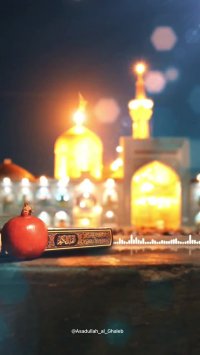 کلیپ حرم امام رضا | کلیپ زیبا | زیارت امام رضا | کلیپ زیبا