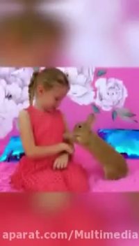 ماجراهای ناستیا | دخترانه ناستیا | ایستیسی بابایی | ناستیا شو