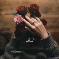 صد بار گفتمت همچین مکن زلفای بورت | اهنگ زیبای عاشقانه |آهنگ لری زیبا