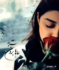 دوباره دل هوای با تو بودن کرده | آهنک زیبا و عاشقانه | کلیپ زیبا