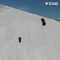 کلیپ انگیزشی : بهترین نمونه تلاش و استقامت