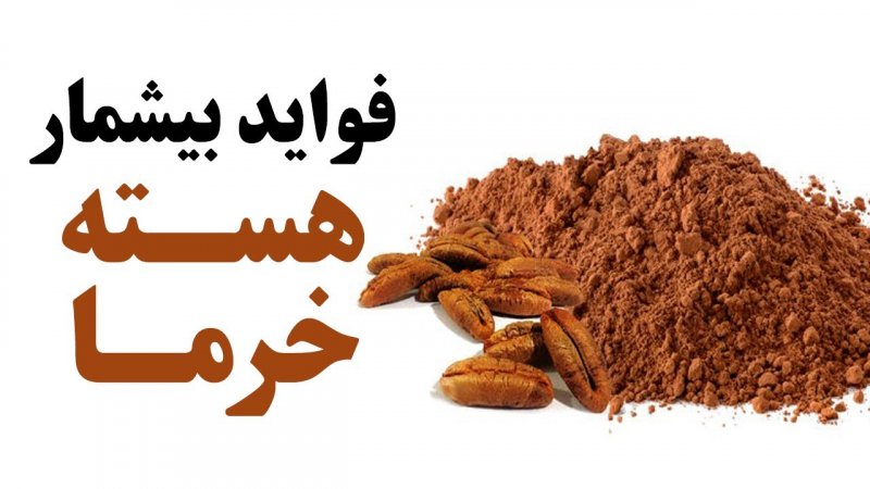 فواید بیشمار هسته خرما