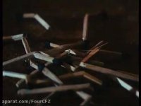 دانلود کارتون پت و مت - کارتون پت ومت این داستان روشنایی