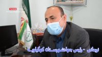 کمبود مرغ در استان کهگیلویه و بویراحمد
