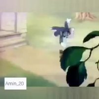 کارتون موش و گربه (تام و جری)