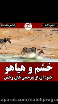 کارتون حیوانات حیات وحش / خشم و هیاهو جلوه ای از بی رحمی های حیات وحش