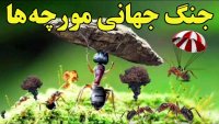 جنگ جهانی مورچه ها طولانی ترین جنگ جهانی بر روی زمین