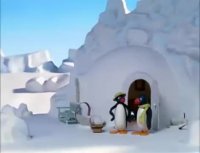 کارتون پینگو